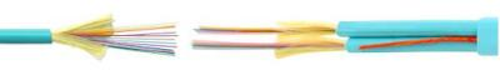 A 24-fiber single-unit plenum interconnect cable and a 144-fiber riser or plenum breakout cable are new additions to Superior Essex's Microarray Data Center cable product line.