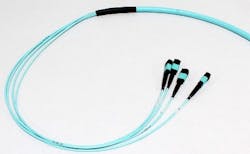 Content Dam Cim Online Articles 2014 08 Pretermtrunk Content Dam Cim Online Articles 2014 08 Pretermtrunk