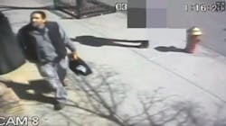 Surveillance shows thief tearing copper ground wiring from Brooklyn cell phone tower