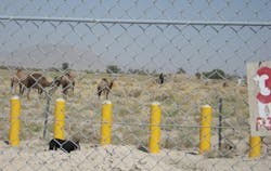 1203ciminstall 4 1203ciminstall 4