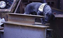 12cimeditpicks Photo 2 12cimeditpicks Photo 2