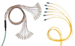 1304cimproductfocus 2 1304cimproductfocus 2