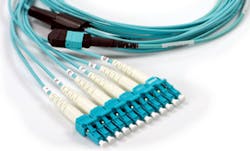 1401cimphoto 6 01cimprodfocus 1401cimphoto 6 01cimprodfocus