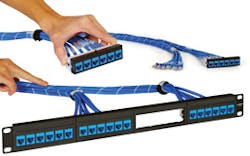 1401cimphoto 7 01cimprodfocus 1401cimphoto 7 01cimprodfocus