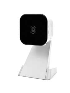 1402cimeditpicks Photo5 1402cimeditpicks Photo5