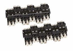 1402cimproductfocus Photo 6b 1402cimproductfocus Photo 6b