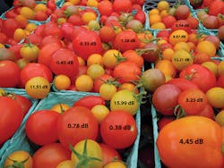 1412cim Got Tomatoes New 1412cim Got Tomatoes New