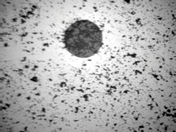 1507ciminstall Photo4 1507ciminstall Photo4