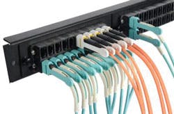 1510cimproductfocusphoto1 1510cimproductfocusphoto1