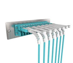 1510cimproductfocusphoto3 1510cimproductfocusphoto3