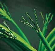 Pennwell web 180 167 Pennwell web 180 167