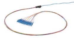 Pennwell web 300 158 Pennwell web 300 158