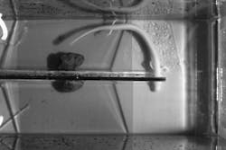 Pennwell web 300 200 Pennwell web 300 200