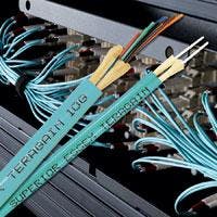 Th 0602cimpuphoto1 Th 0602cimpuphoto1