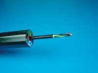 Th 0611cim P Fujiku Th 0611cim P Fujiku