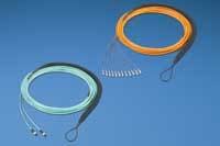 Th 0611cim P Pandui Th 0611cim P Pandui