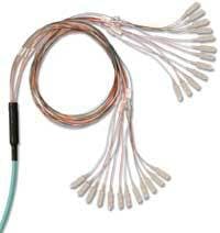 Th 0703cim P Siemonfibertrunk Th 0703cim P Siemonfibertrunk