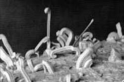 Th 0703cimdesignpic1 Th 0703cimdesignpic1