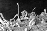 Th 0703cimdesignpic1 Th 0703cimdesignpic1