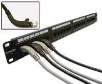 Th 0705cim P Shaxon Th 0705cim P Shaxon