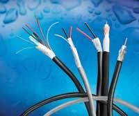 Th 0705cim P Waterdog Th 0705cim P Waterdog