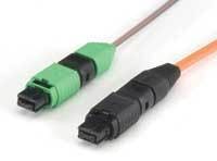 Th 0710techphoto3 Th 0710techphoto3