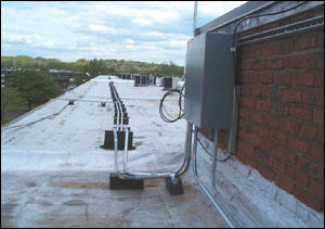 Blocking Surface Abuse In A Rooftop Cat5 Wireless Project Cabling Installation Maintenance