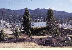 Th Cim63081 35 Th Cim63081 35