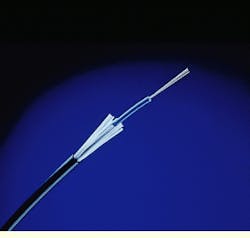 Th Cim64253 23 Th Cim64253 23