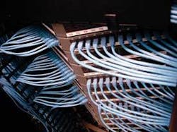 Th Molexfocus Th Molexfocus