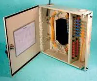 Th Pacificfocuswall Th Pacificfocuswall