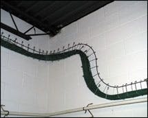 Th Wallsnake Th Wallsnake