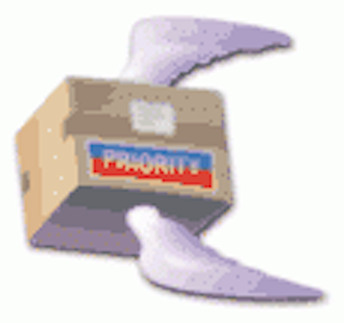 Th Wings