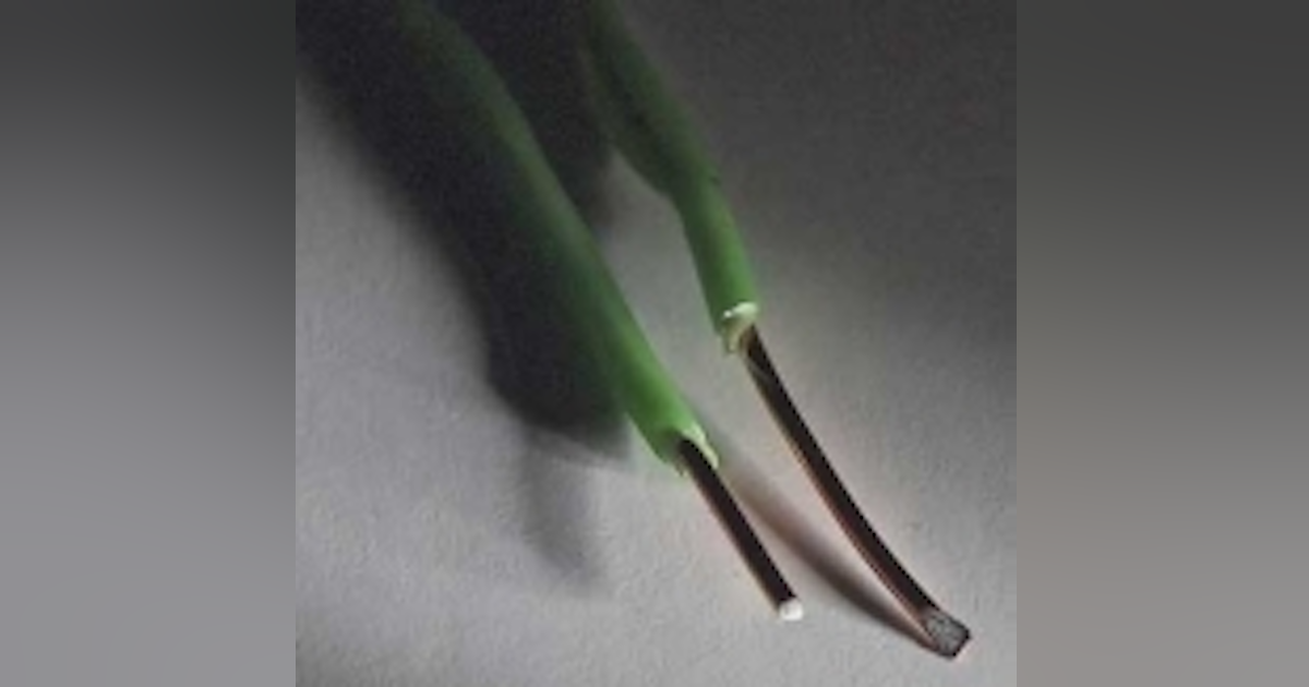 Ethernet cable color order Ethernet cable color order image
