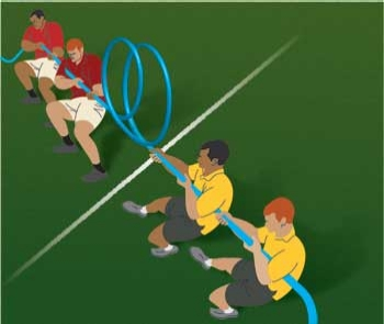 Pennwell web 350 295