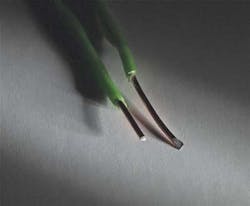 Pennwell web 400 330 Pennwell web 400 330