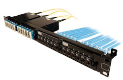 1606cimproductfocus Photo 2 1606cimproductfocus Photo 2