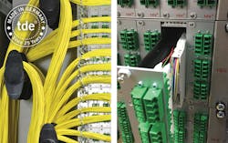 1606cimeditpicks Photo 5 1606cimeditpicks Photo 5