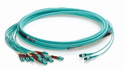 1607cimproductfocus Photo 2 1607cimproductfocus Photo 2