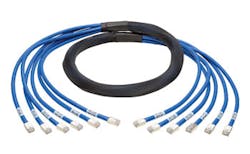 1607cimproductfocus Photo 4 1607cimproductfocus Photo 4