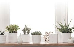 1702cimeditpicks Photo 6 1702cimeditpicks Photo 6