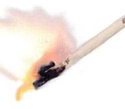 1707cimnetworkcable Photo 4b 1707cimnetworkcable Photo 4b