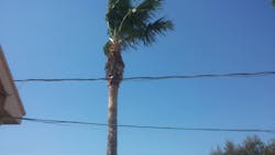 1710ciminfrastructureinsights Photo 3 1710ciminfrastructureinsights Photo 3