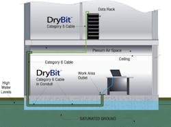 Hitachidrybitillustration Hitachidrybitillustration