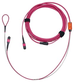 1807cimproductfocus Photo 5a 1807cimproductfocus Photo 5a