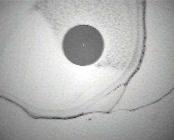 1808cimfiberoptics Photo 1 1808cimfiberoptics Photo 1