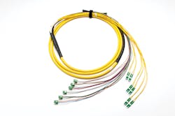 Photo10 1809cimbicsiproducts Photo10 1809cimbicsiproducts