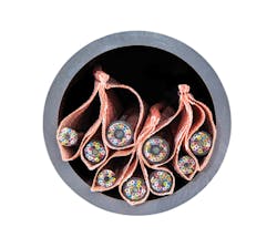 1812cimproductfocus Photo 3 1812cimproductfocus Photo 3