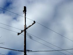 Das Louis Palo Altocpa 320x240 Das Louis Palo Altocpa 320x240