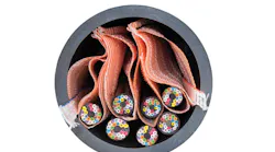 1901cimbicsiproducts Photo 3